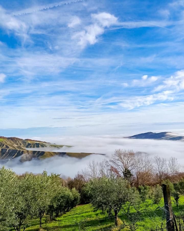 Modigliana La Luna Sul Trebbio المظهر الخارجي الصورة